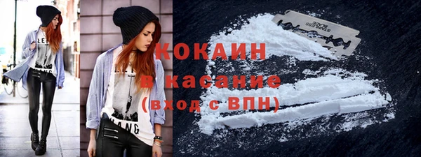 винт Липки