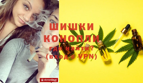 винт Липки