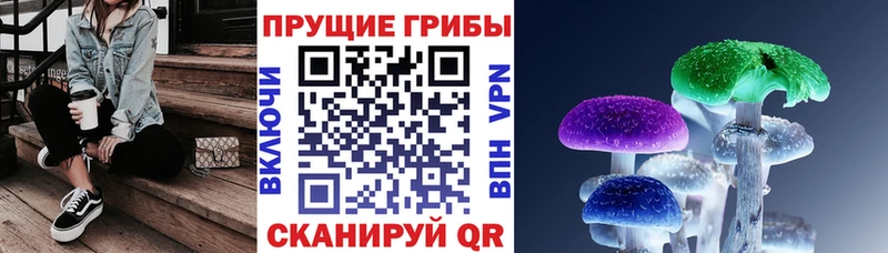 Галлюциногенные грибы Psilocybe  Циолковский 